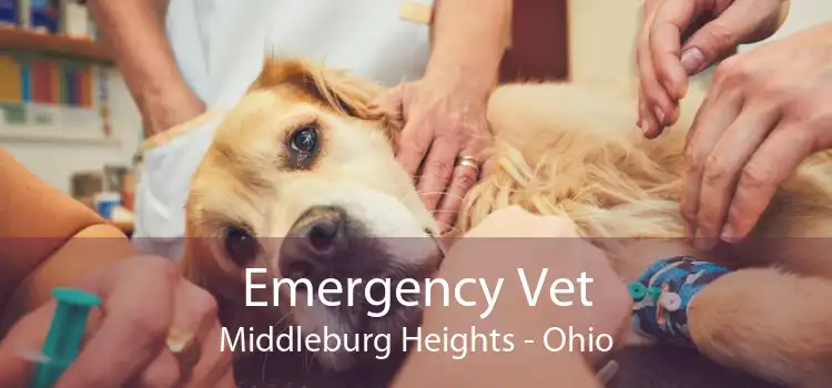 Emergency Vet Middleburg Heights - Ohio
