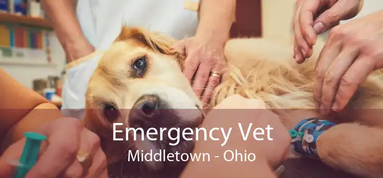Emergency Vet Middletown - Ohio
