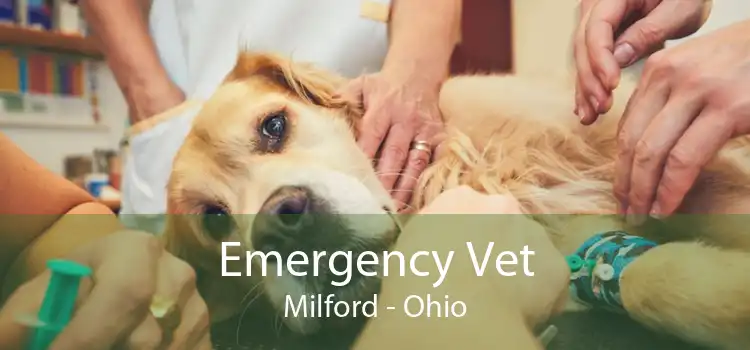 Emergency Vet Milford - Ohio