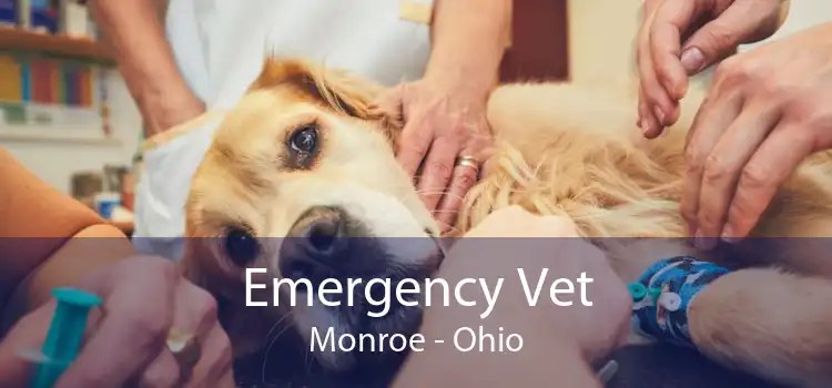Emergency Vet Monroe - Ohio