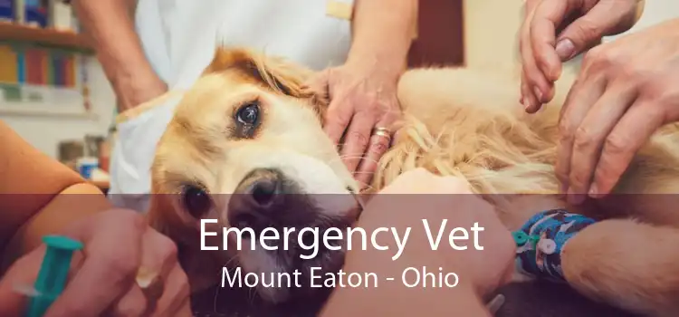 Emergency Vet Mount Eaton - Ohio