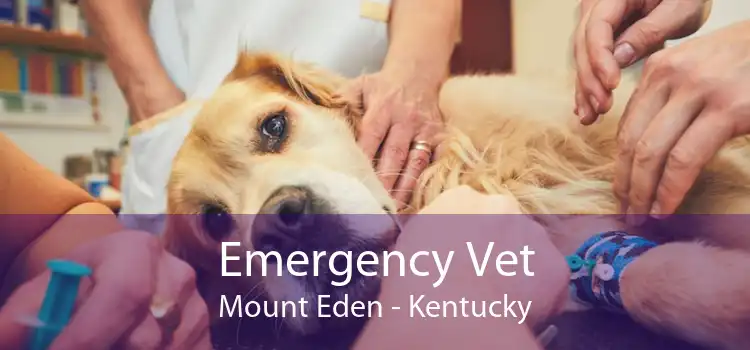 Emergency Vet Mount Eden - Kentucky