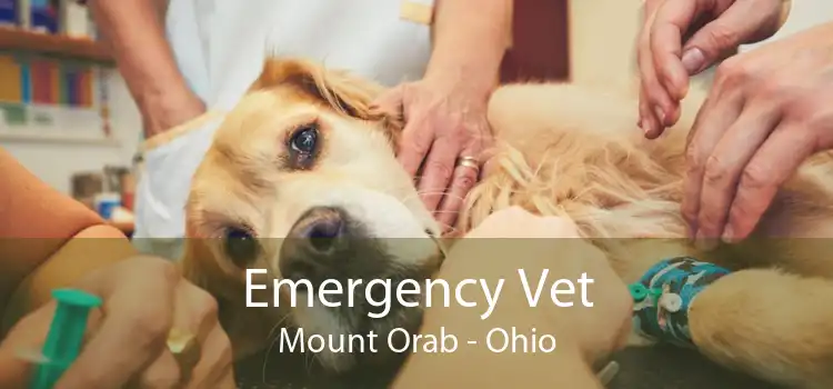 Emergency Vet Mount Orab - Ohio