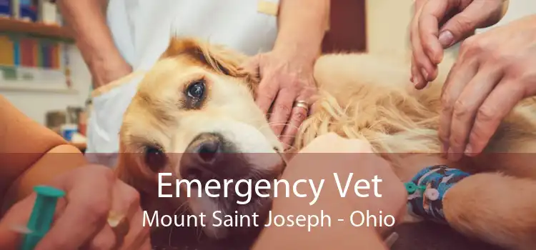 Emergency Vet Mount Saint Joseph - Ohio