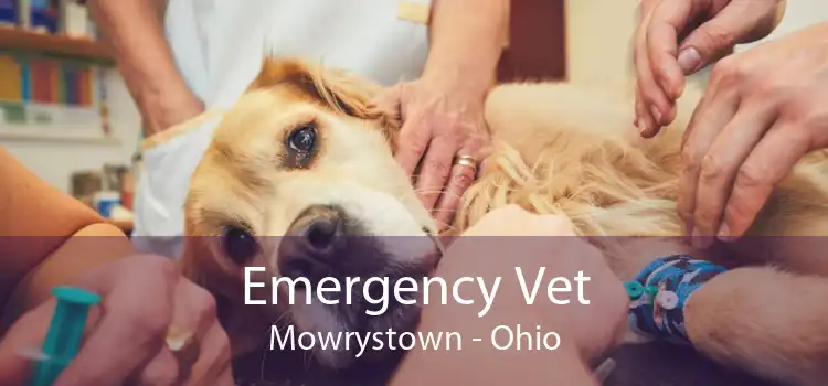 Emergency Vet Mowrystown - Ohio