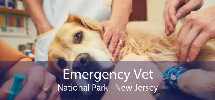 Emergency Vet National Park - New Jersey