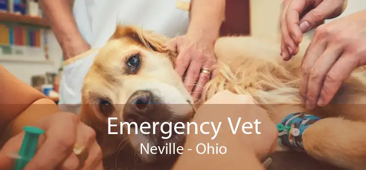 Emergency Vet Neville - Ohio