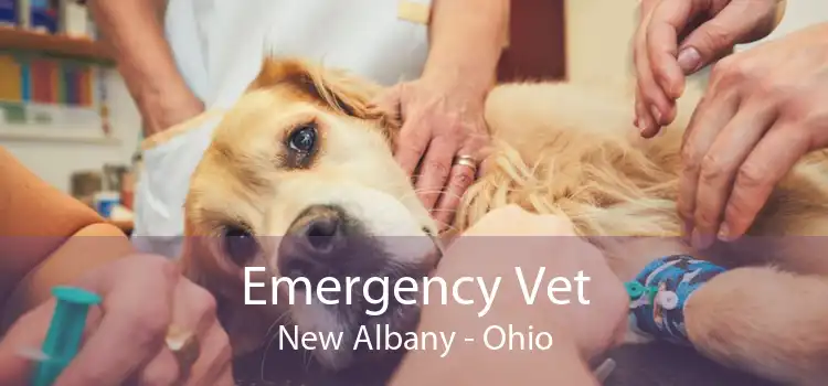 Emergency Vet New Albany - Ohio