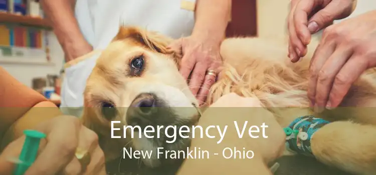 Emergency Vet New Franklin - Ohio