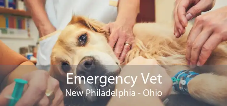 Emergency Vet New Philadelphia - Ohio