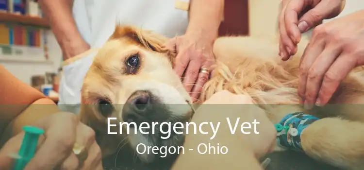 Emergency Vet Oregon - Ohio