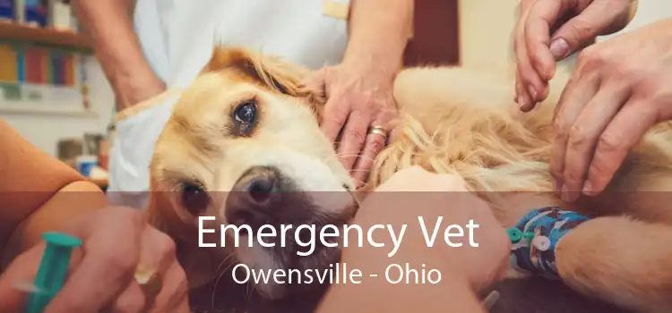 Emergency Vet Owensville - Ohio