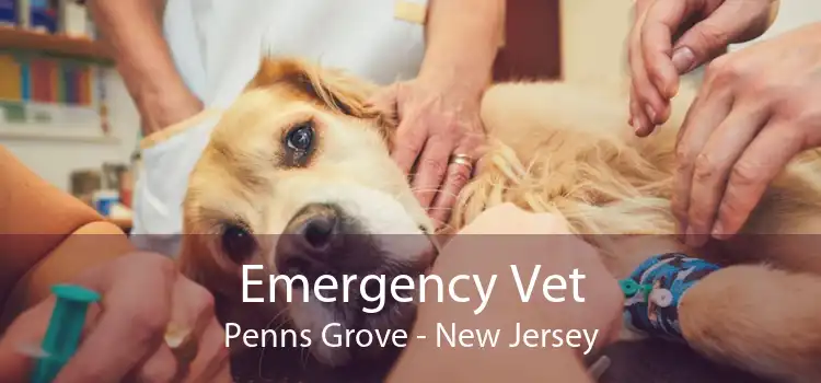 Emergency Vet Penns Grove - New Jersey