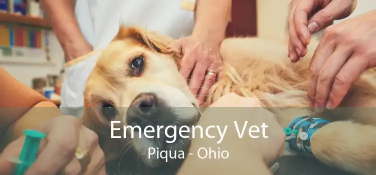 Emergency Vet Piqua - Ohio
