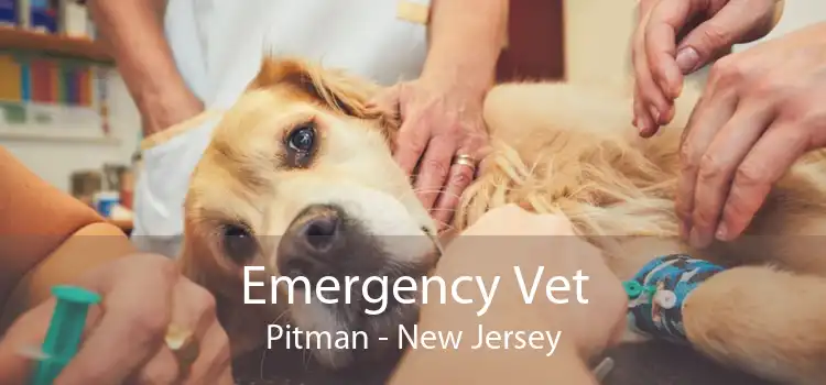 Emergency Vet Pitman - New Jersey