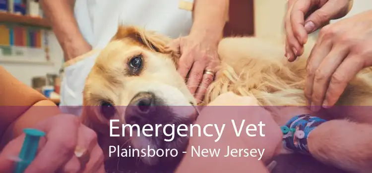 Emergency Vet Plainsboro - New Jersey