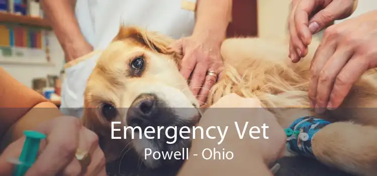 Emergency Vet Powell - Ohio
