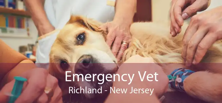 Emergency Vet Richland - New Jersey