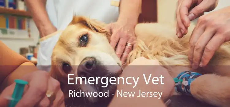 Emergency Vet Richwood - New Jersey