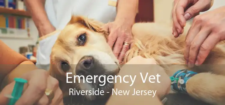 Emergency Vet Riverside - New Jersey