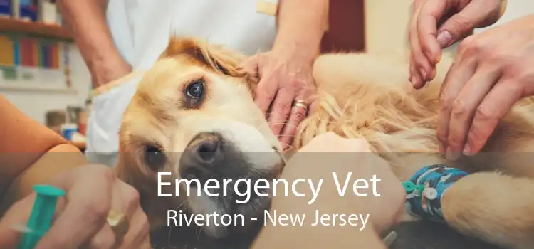 Emergency Vet Riverton - New Jersey