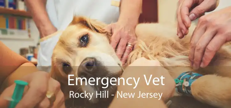 Emergency Vet Rocky Hill - New Jersey