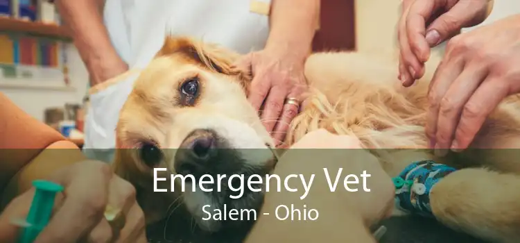 Emergency Vet Salem - Ohio