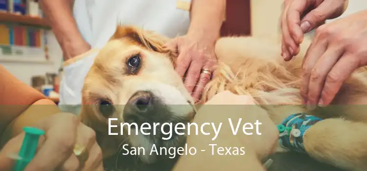 Emergency Vet San Angelo - Texas