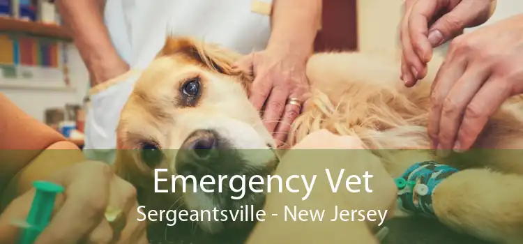 Emergency Vet Sergeantsville - New Jersey