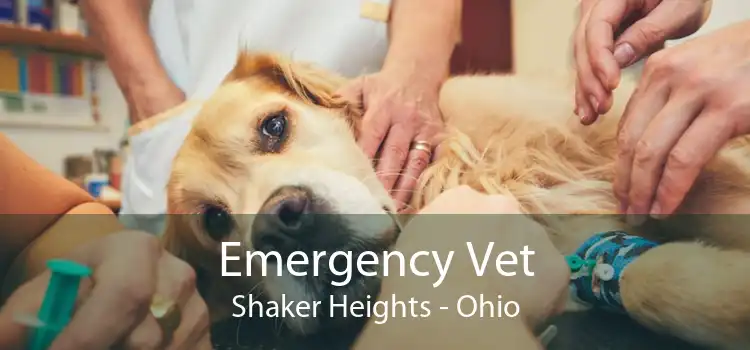 Emergency Vet Shaker Heights - Ohio
