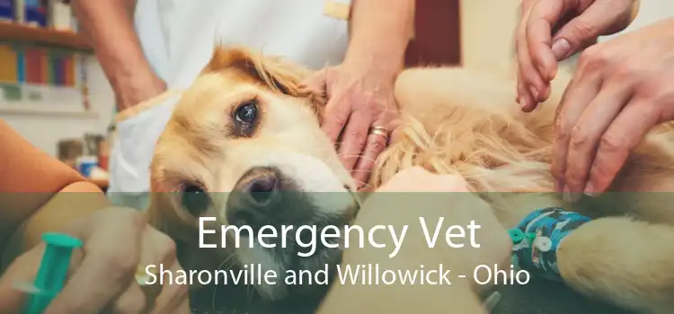 Emergency Vet Sharonville and Willowick - Ohio