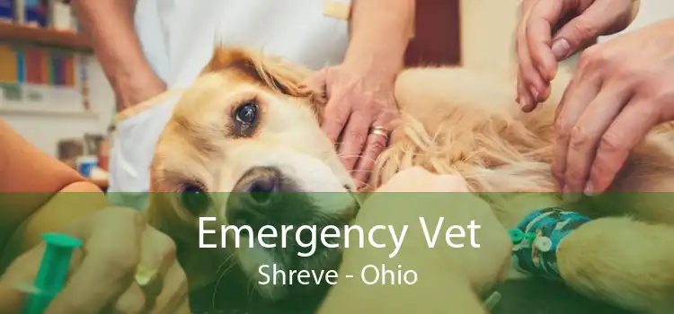Emergency Vet Shreve - Ohio