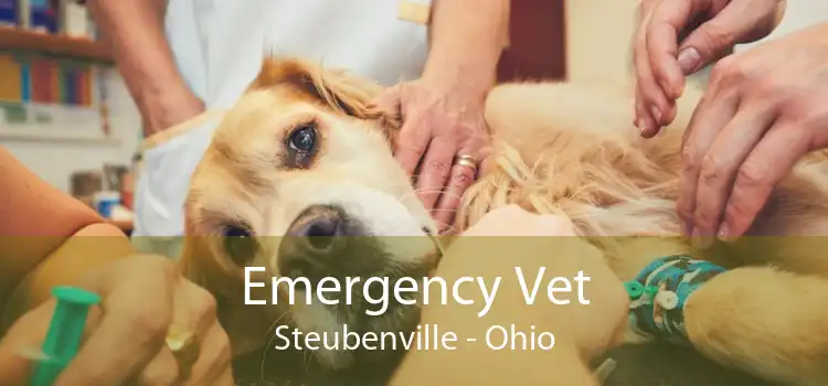 Emergency Vet Steubenville - Ohio