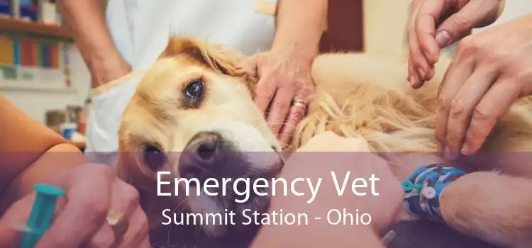 Emergency Vet Summit Station - Ohio