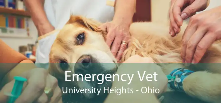 Emergency Vet University Heights - Ohio