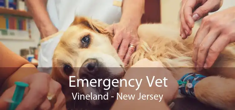 Emergency Vet Vineland - New Jersey