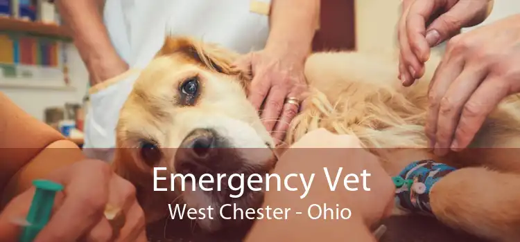 Emergency Vet West Chester - Ohio