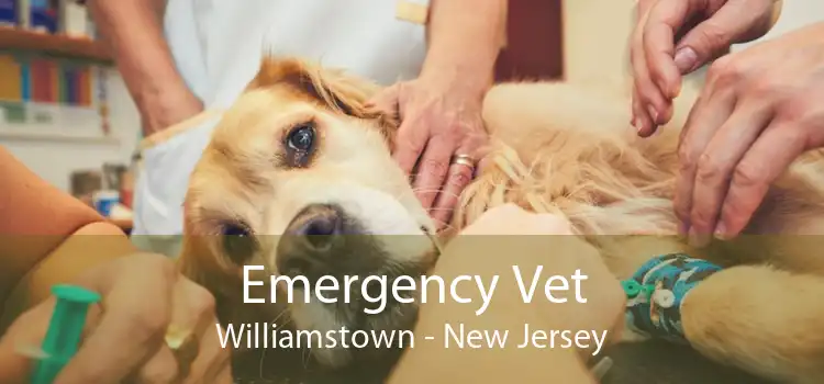Emergency Vet Williamstown - New Jersey