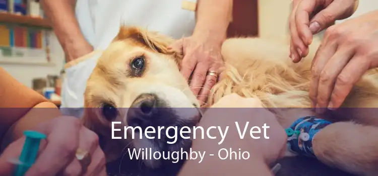 Emergency Vet Willoughby - Ohio
