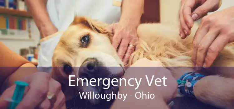Willoughby pet best sale hospital