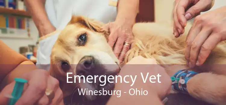 Emergency Vet Winesburg - Ohio