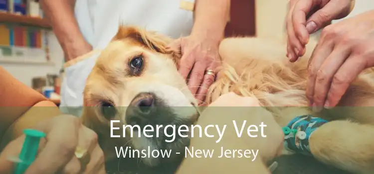 Emergency Vet Winslow - New Jersey