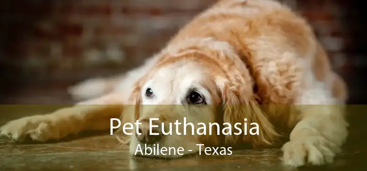 Pet Euthanasia Abilene - Texas
