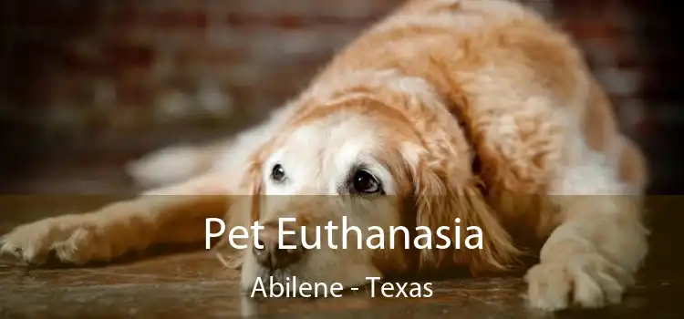Pet Euthanasia Abilene - Texas