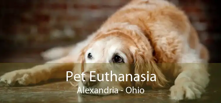 Pet Euthanasia Alexandria - Ohio
