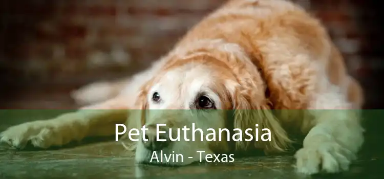 Pet Euthanasia Alvin - Texas