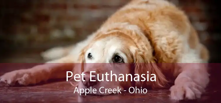 Pet Euthanasia Apple Creek - Ohio