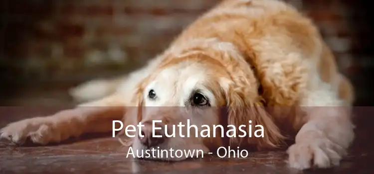 Pet Euthanasia Austintown - Ohio