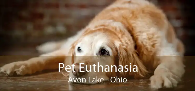Pet Euthanasia Avon Lake - Ohio