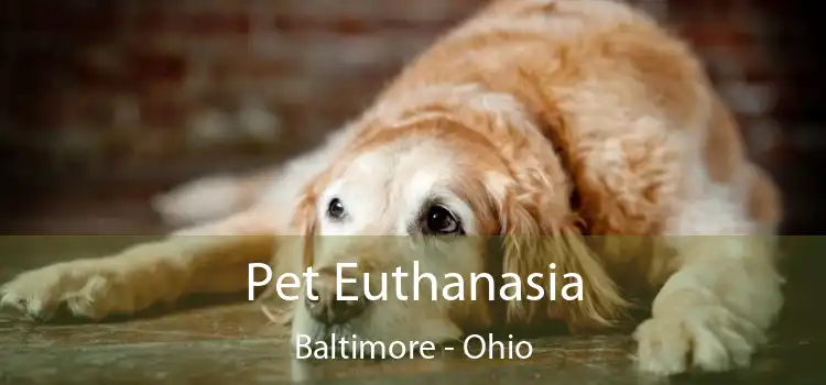 Pet Euthanasia Baltimore - Ohio